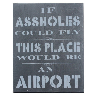Statement, If Assholes could fly