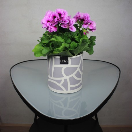 Graphic Flowerpot