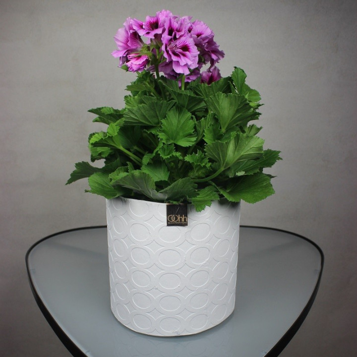 Paper Bisque Round