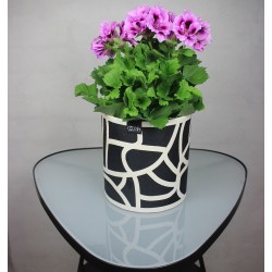 Graphic Flowerpot