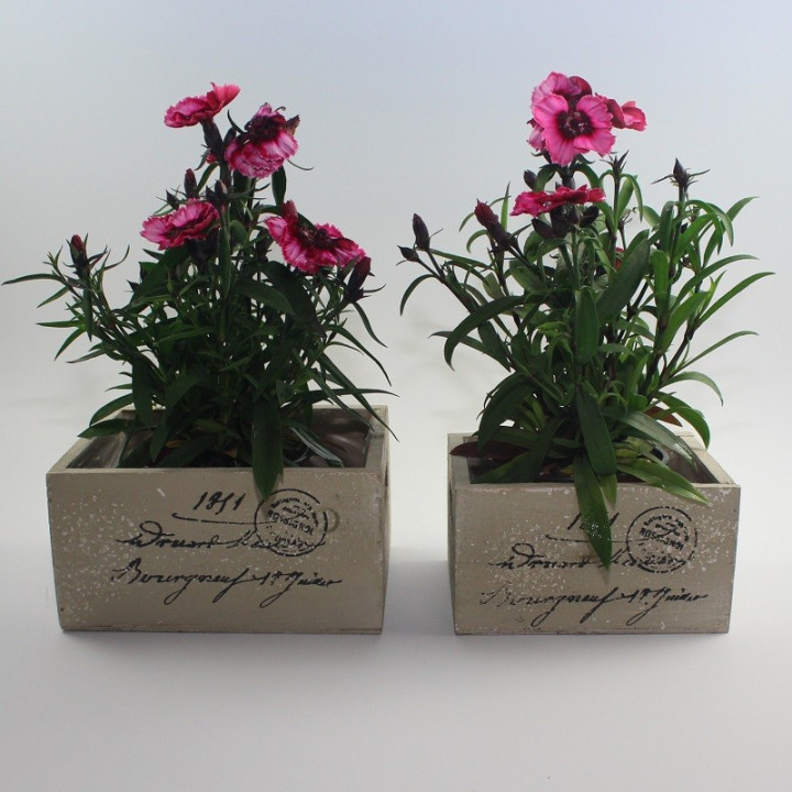 Green flowerpots, set of 2